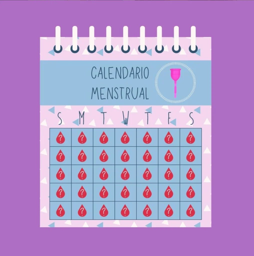 ciclo menstrual calendario menstrual