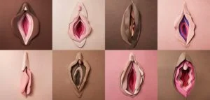 vulvas vulvodinia